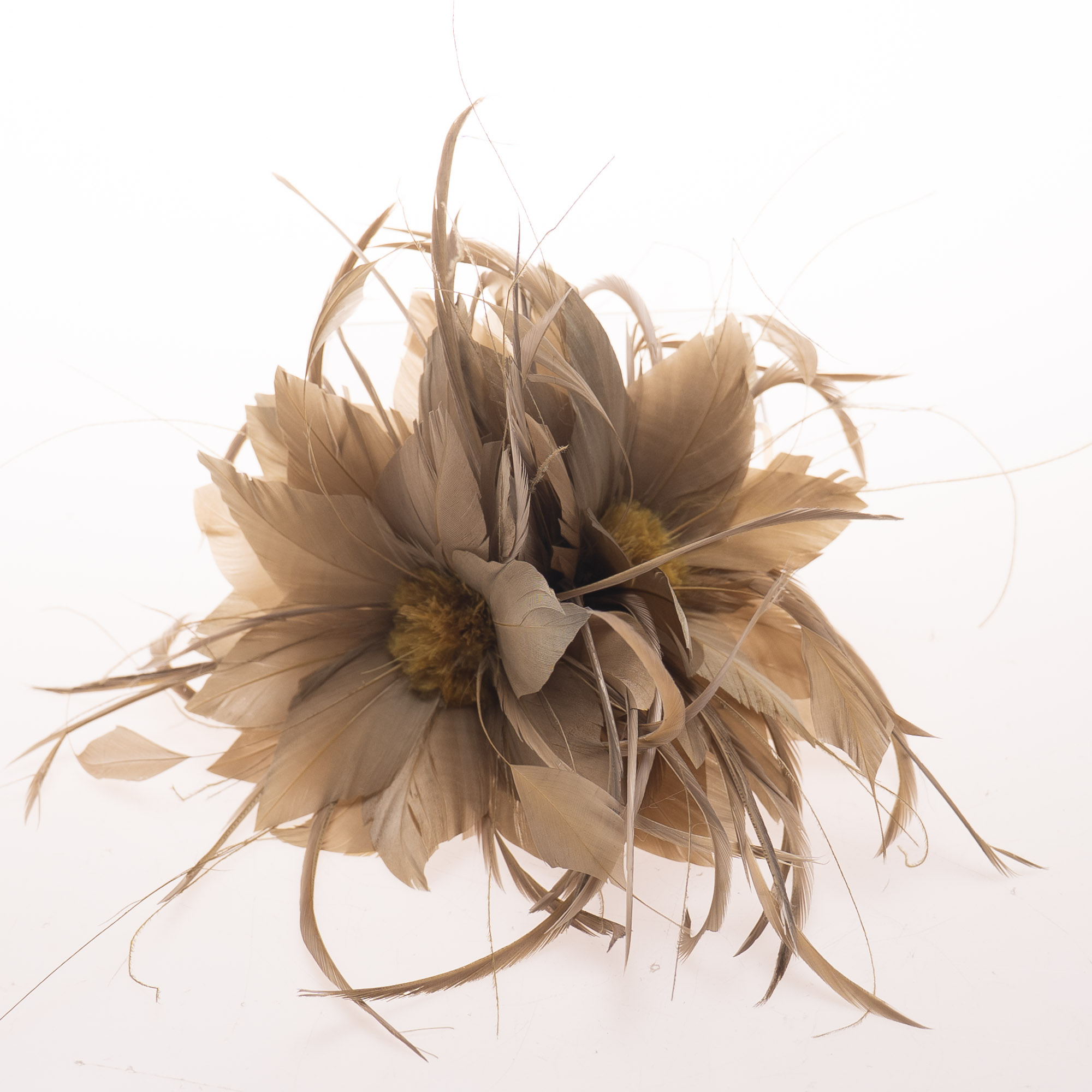 flowerlower320design Brown Feather 312132-3069-04212025-IMGSET?w=
