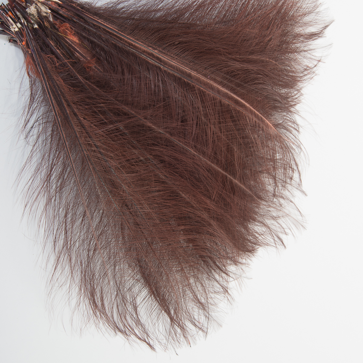 DF-BOST10-14 Lt. Pink 10-12'' Burnt Ostrich Feather Trims By Piece