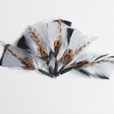 flowerlower320design Brown Feather Feathers - My Whimsical Garden by Elizabeth Keith Designs